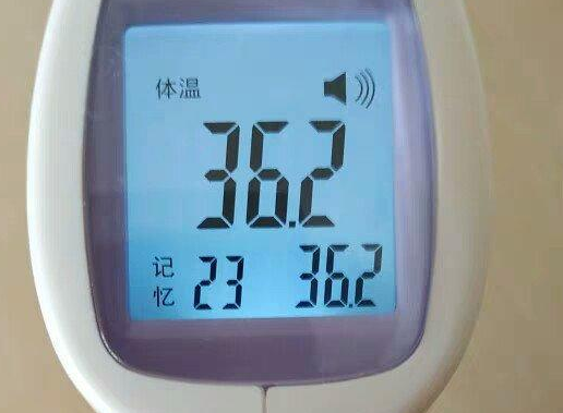 電動船/其它